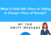 Field 44A: Place of Taking in Charge/Dispatch from .../Place of Receipt