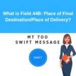 Field 44B: Place of Final Destination/Place of Delivery