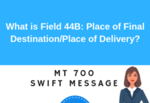 Field 44B: Place of Final Destination/Place of Delivery