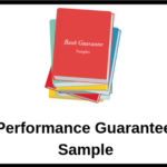 Performance Guarantee Sample