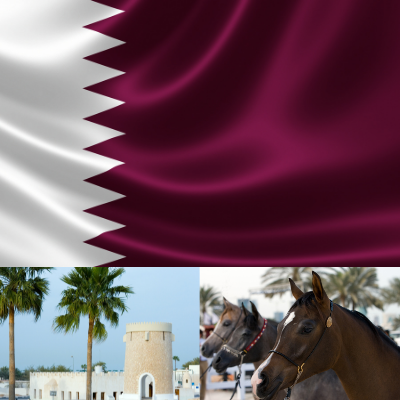 Qatar Export Letter of Credit Consultancy Qatar Export Letter of Credit Consultancy